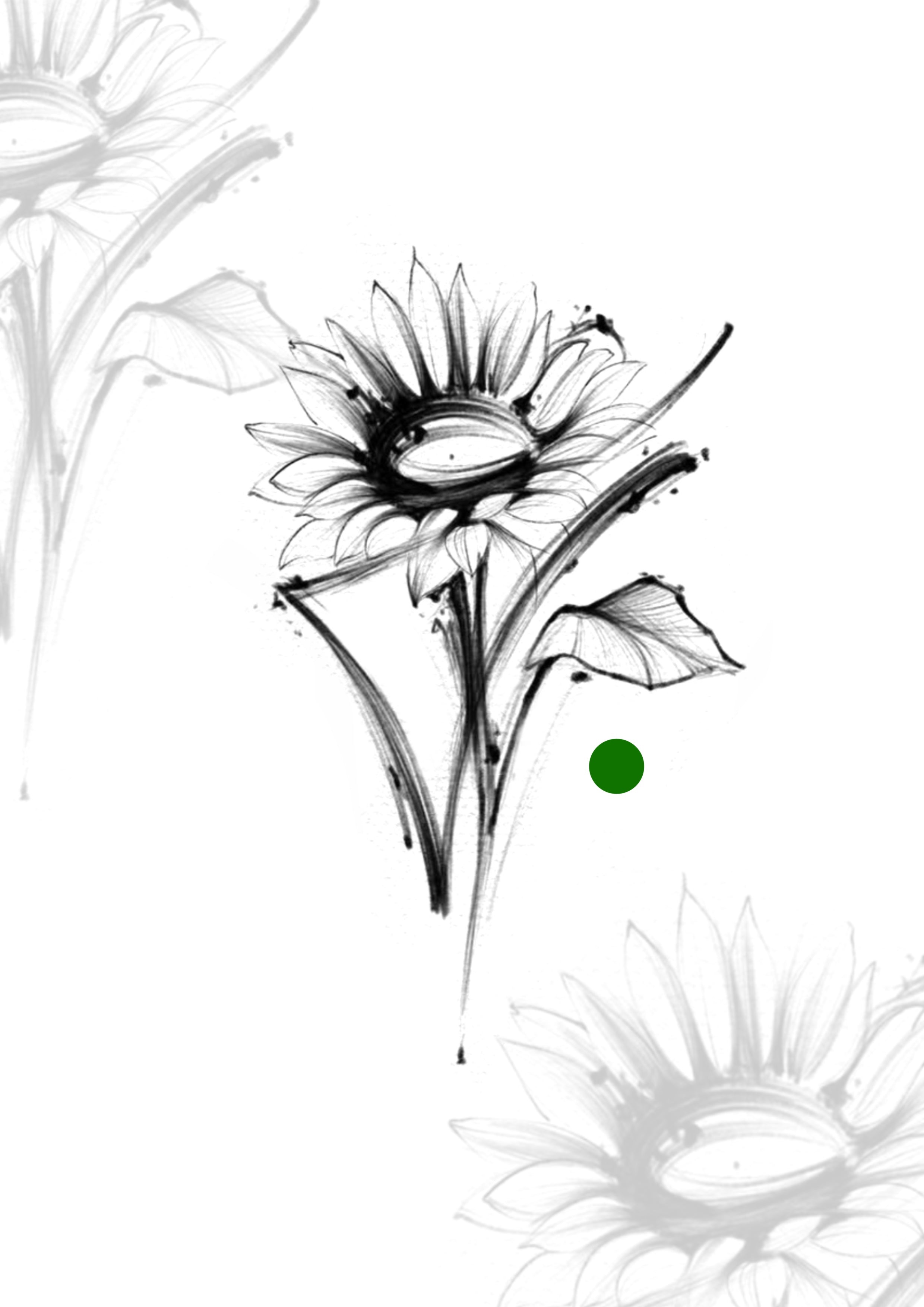 Sketch
