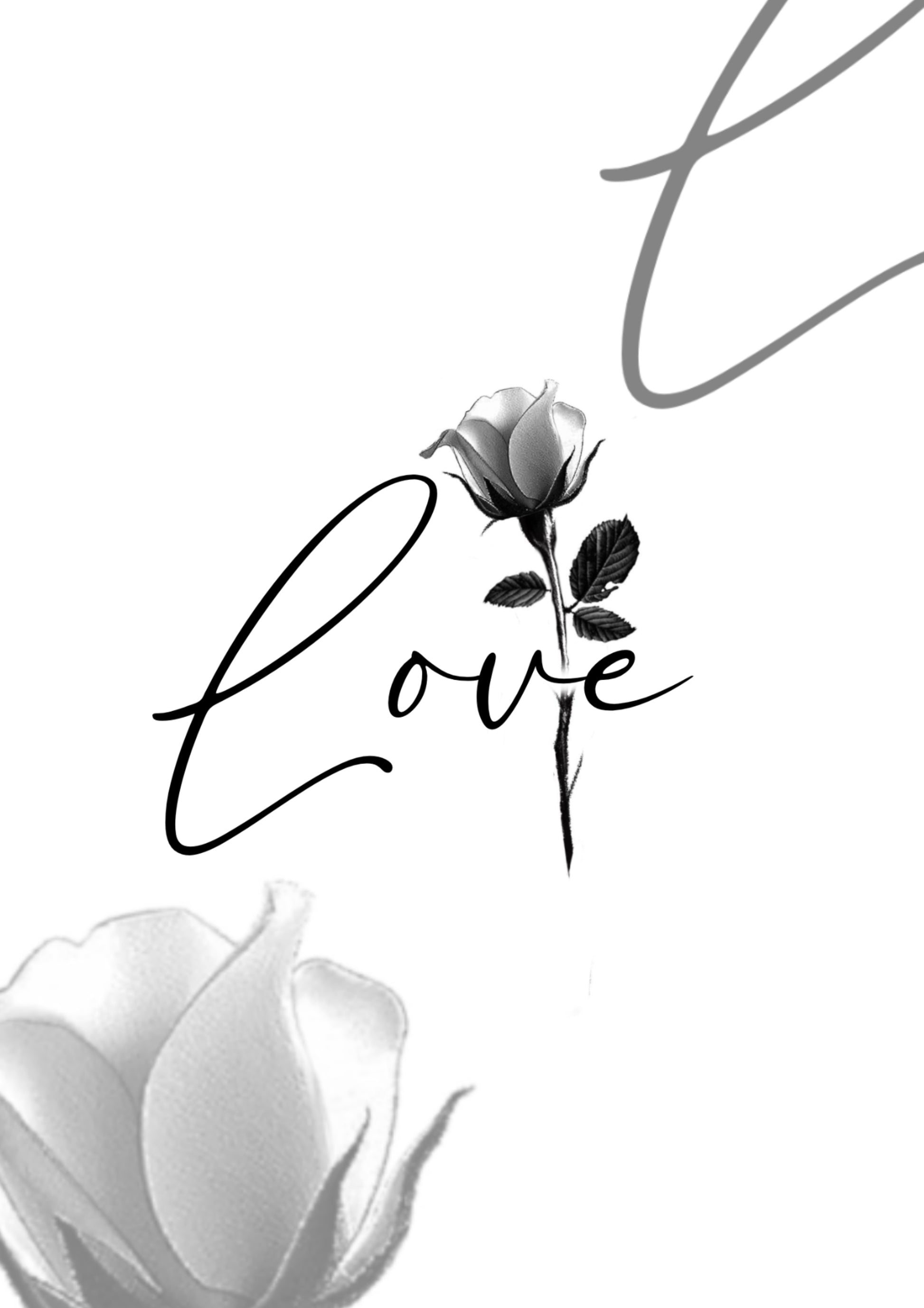 Love e Rosa - flash autoral de Guilherme - 7,5x8,5 cm