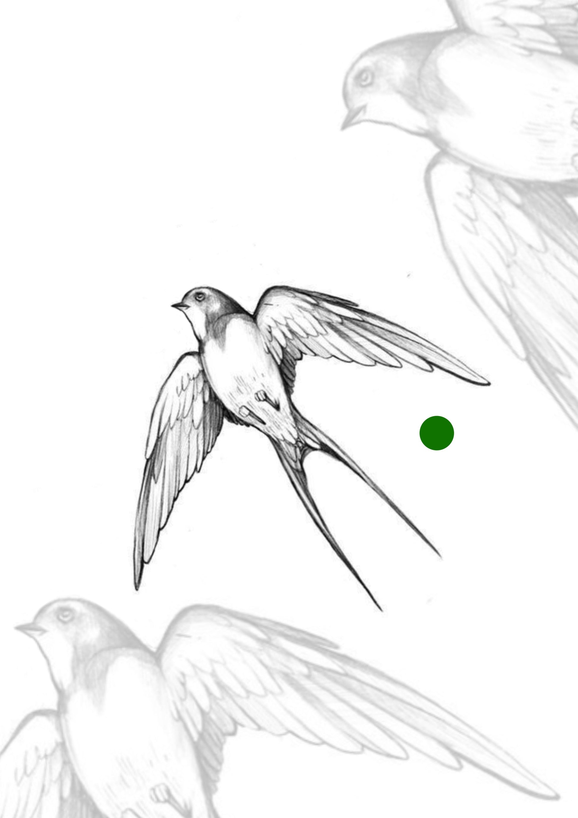 Sketch Andorinha 7x7cm – Tatuador Guilherme