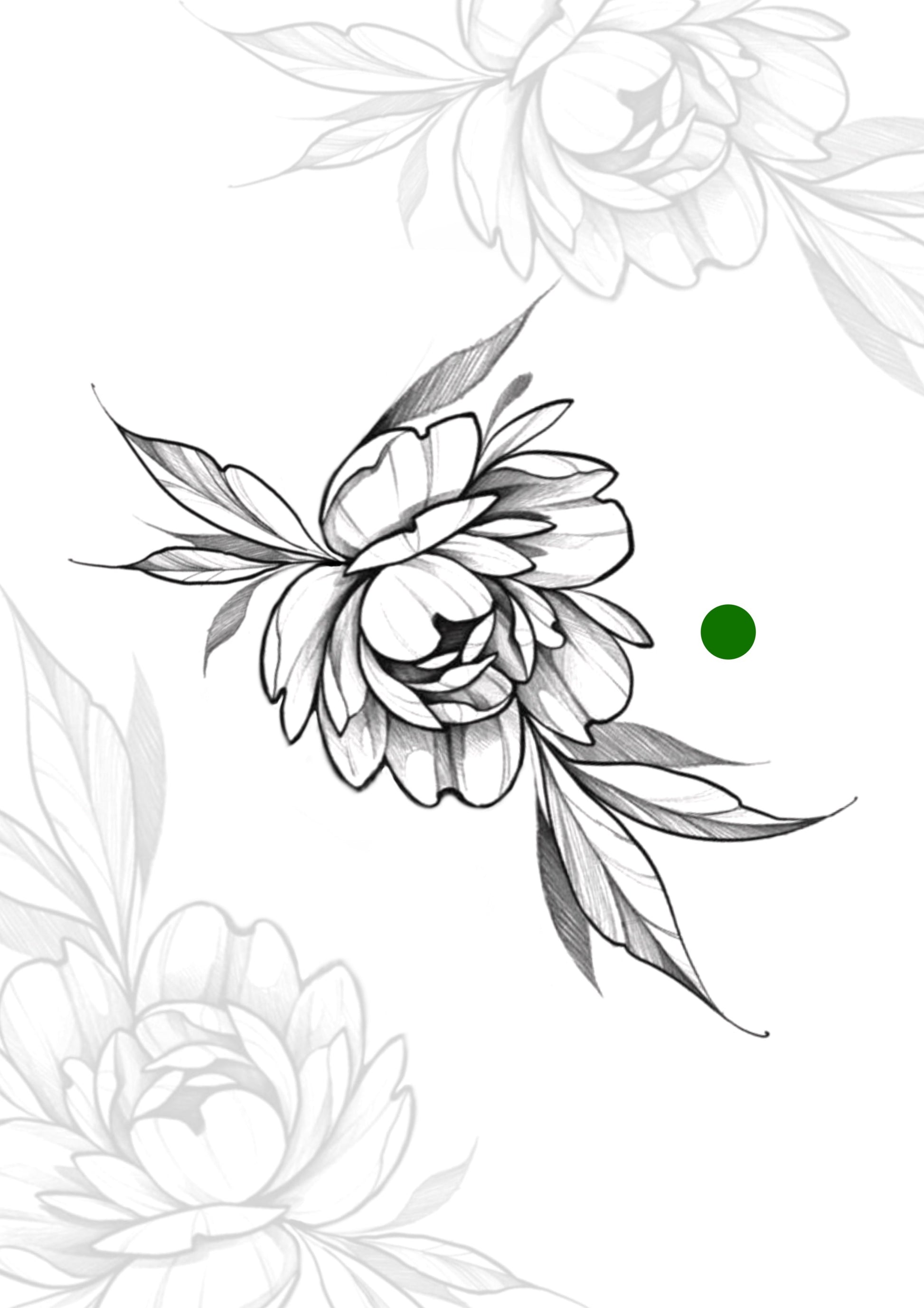 Sketch Floral peonia sketch 13x7cm - Tatuador Guilherme