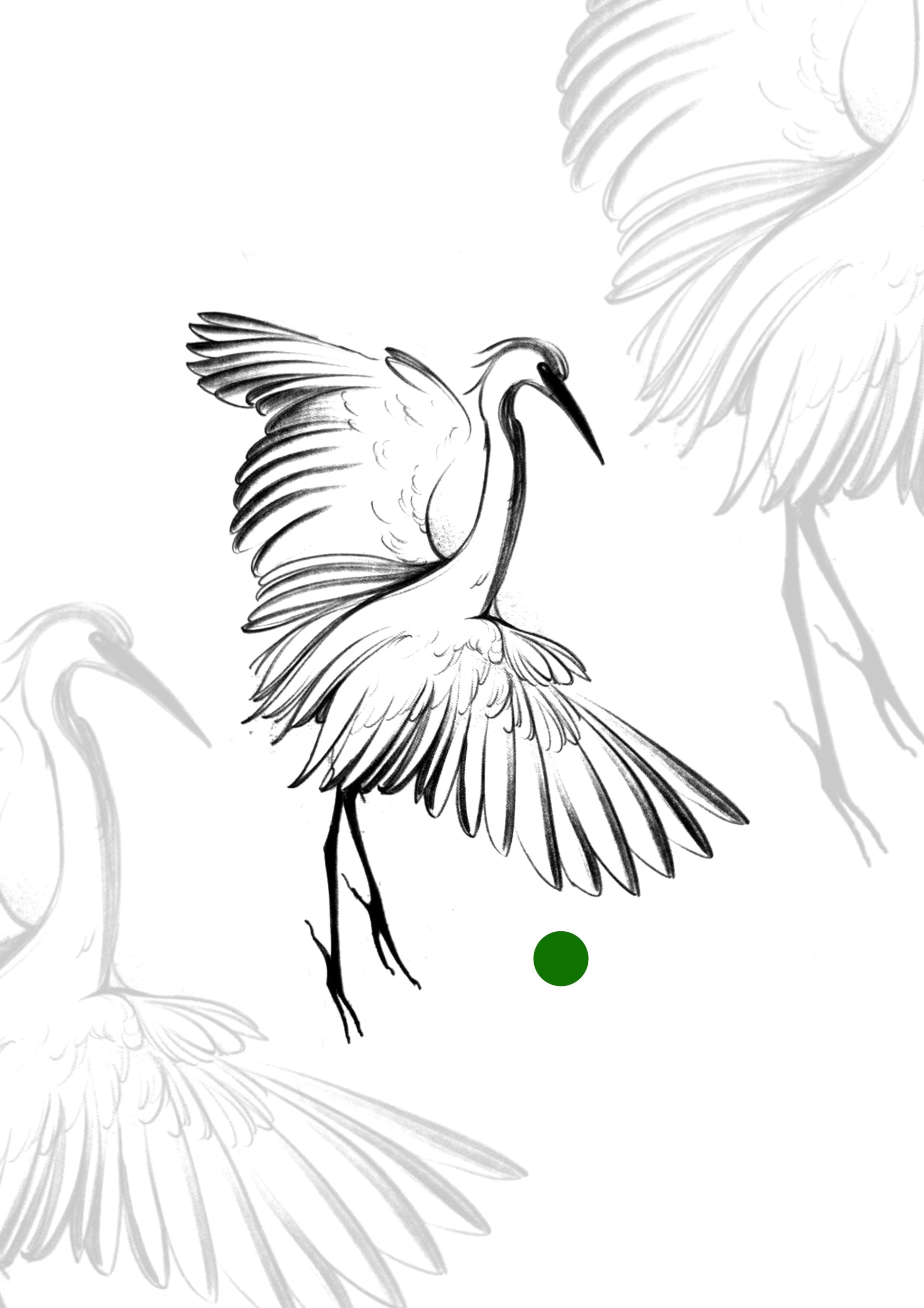 Sketch Gaivota sketch 9x9cm - Tatuador Guilherme
