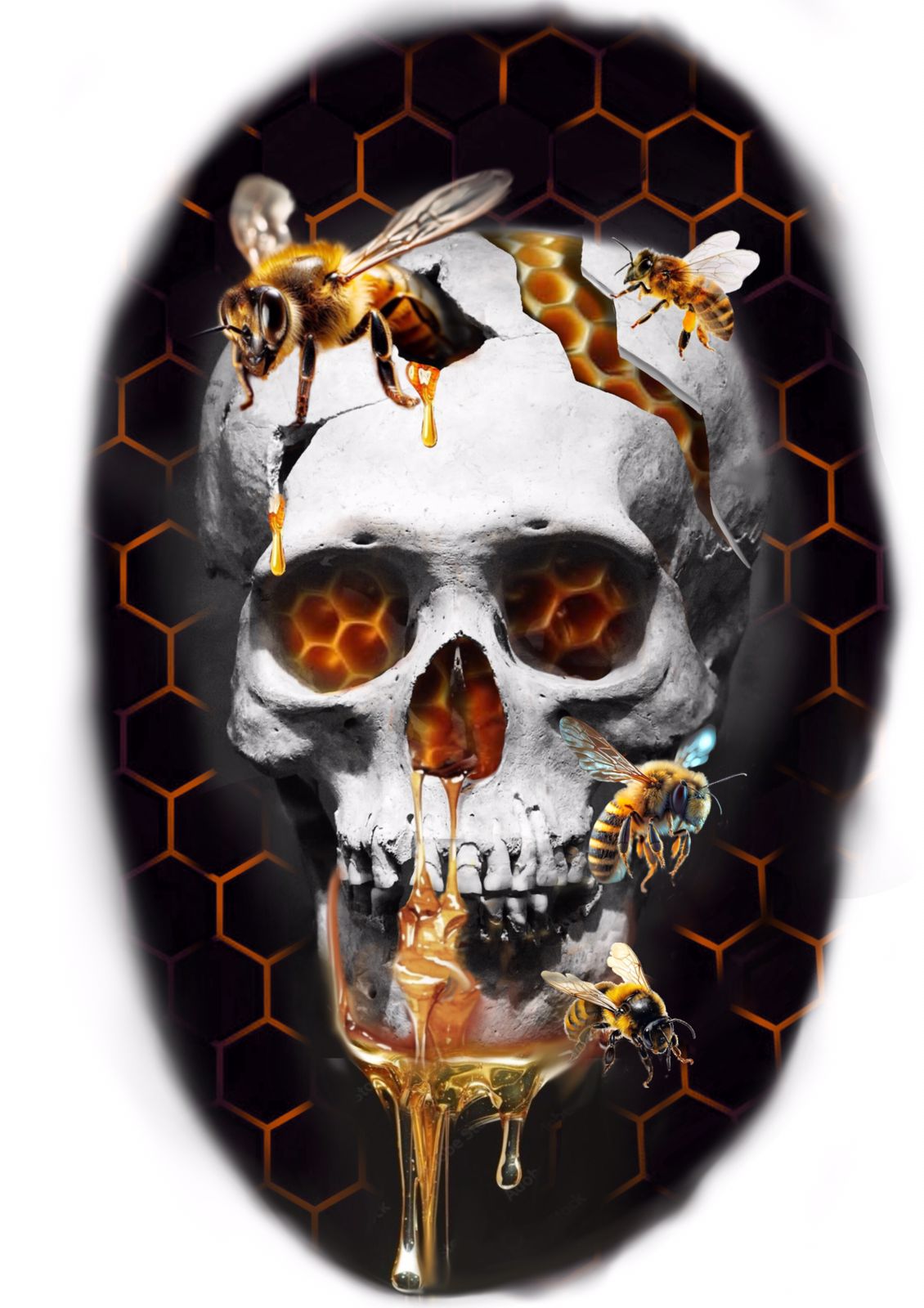 Realismo Colorido Caveira 28x19 [EXCLUSIVO] - Tatuador Marcelo