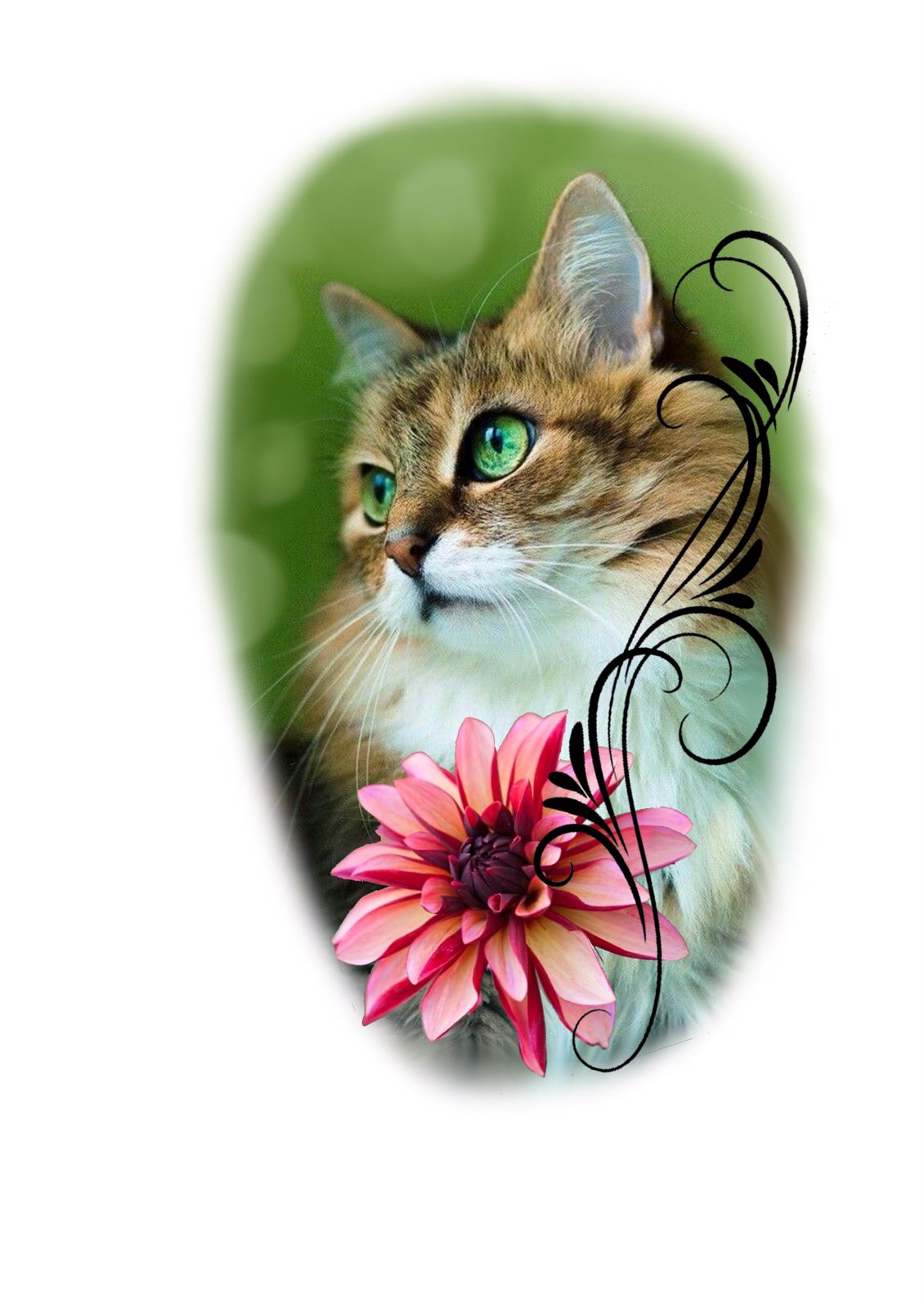 Realismo Colorido Gato com Flor [EXCLUSIVO] - Tatuador Marcelo