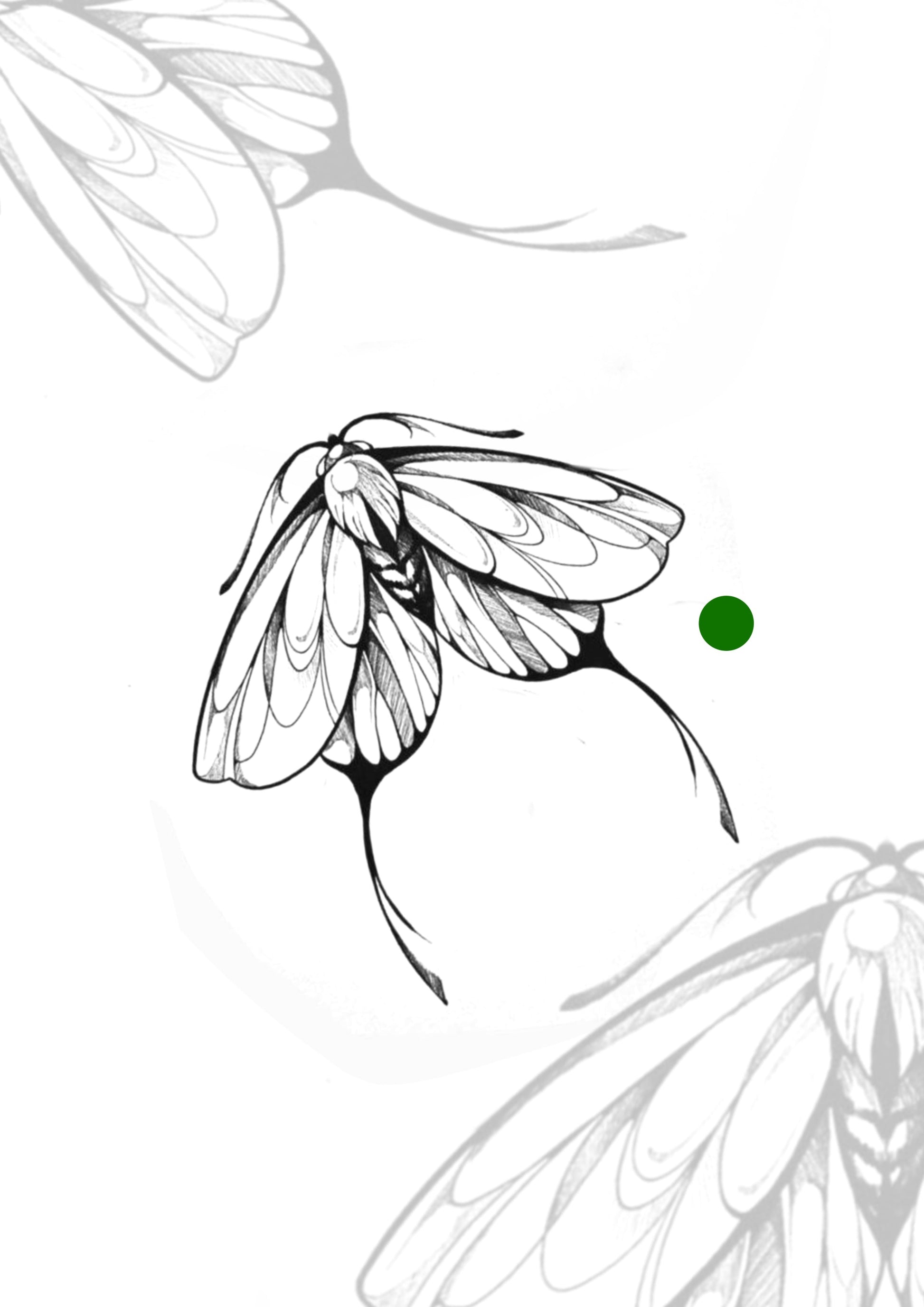Sketch Mariposa 7x6cm – Tatuador Guilherme