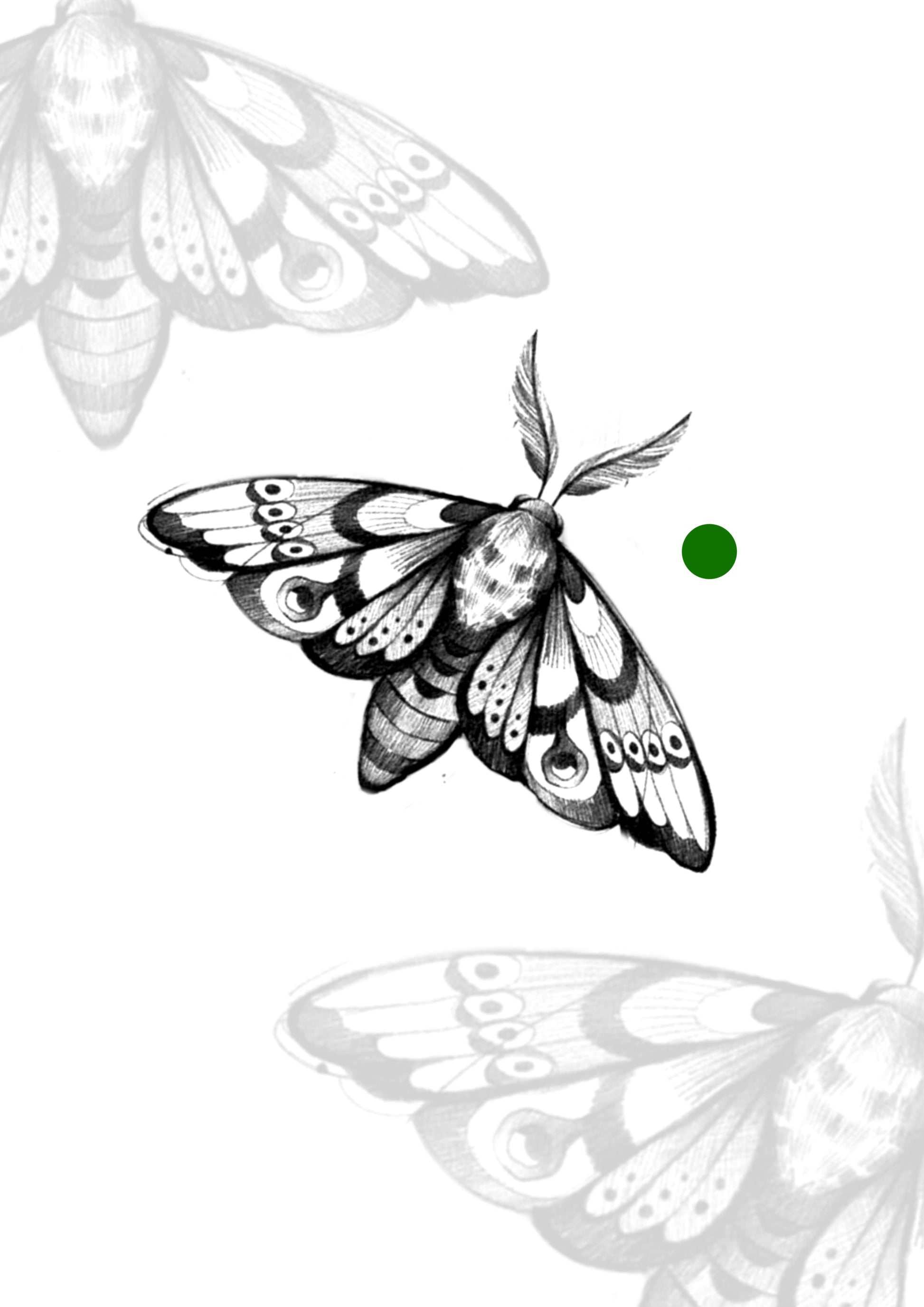 Sketch Mariposa 8x6 – Tatuador Guilherme