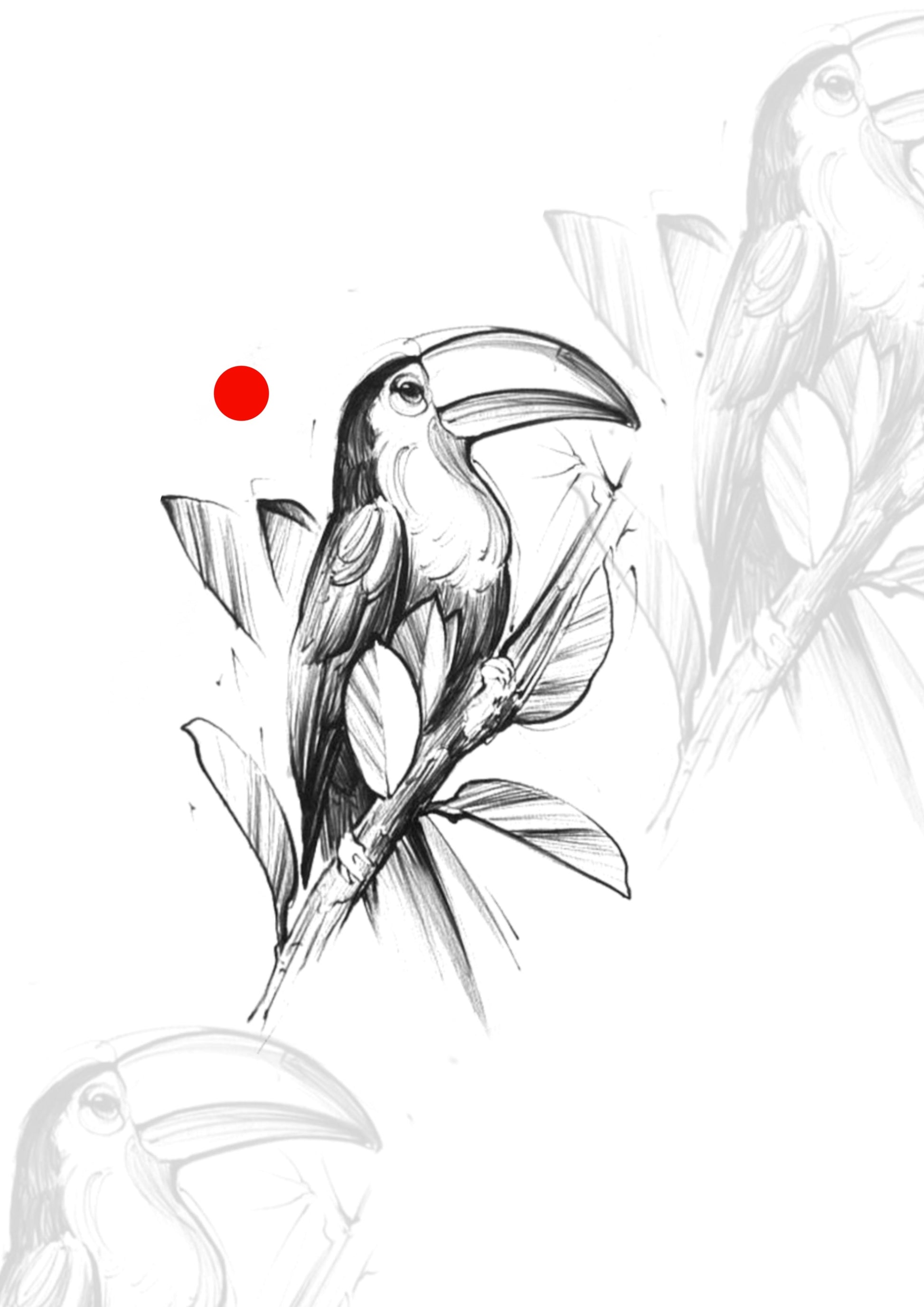 Sketch Tucano 9x6,5 cm – Tatuador Guilherme