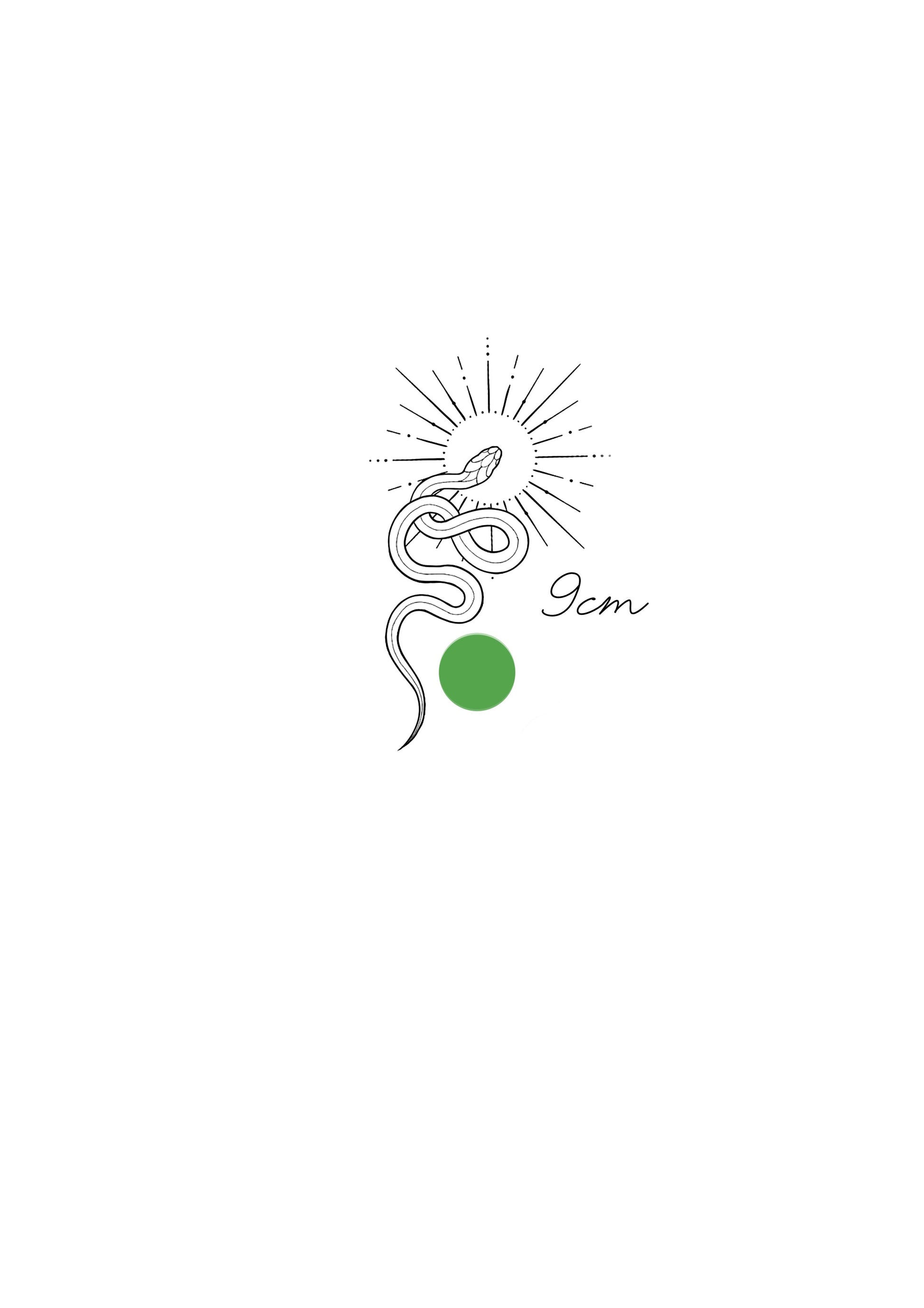 Fineline Serpente Solar 9cm - Tatuador Clayton