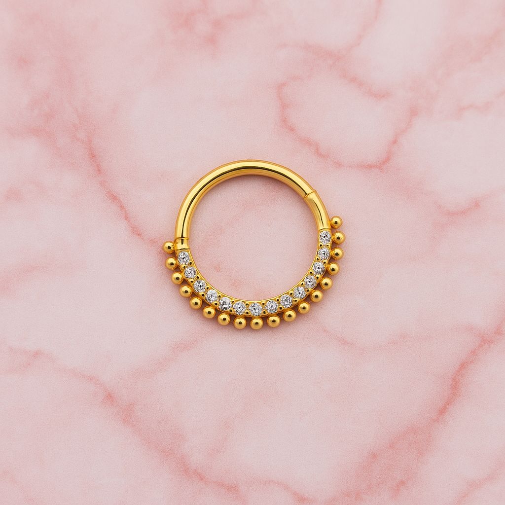 Argola de Titânio Segmento - Body Piercer Rafaeli